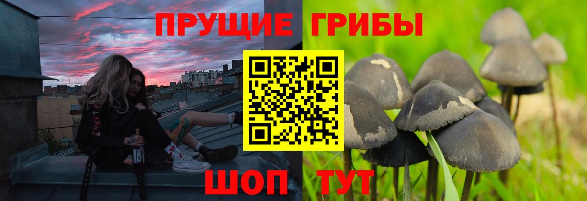 что такое   Псилоцибиновые грибы ЛСД  Вход с VPN  Лысьва 